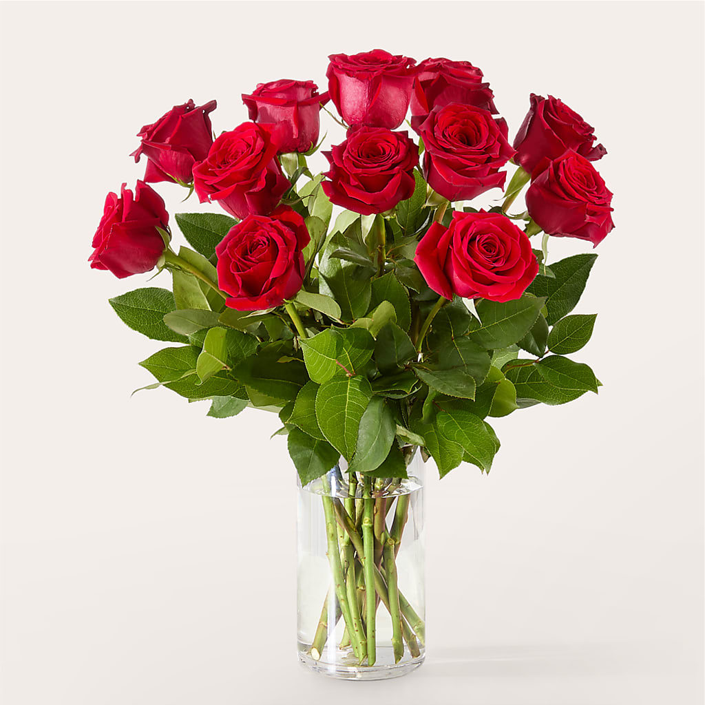 The One Red Rose Bouquet –  Jax Flowers Corp, Orange Park FL
