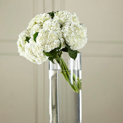 White Hydrangea Hand-Tied Bouquet –  Jax Flowers Corp, Orange Park FL