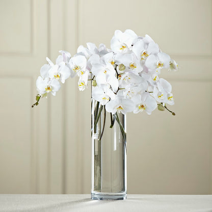 White Phalaenopsis Bouquet –  Jax Flowers Corp, Orange Park FL