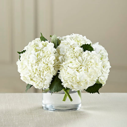 White Hydrangea Bouquet –  Jax Flowers Corp, Orange Park FL